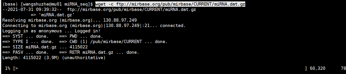 image-20210731093934705
